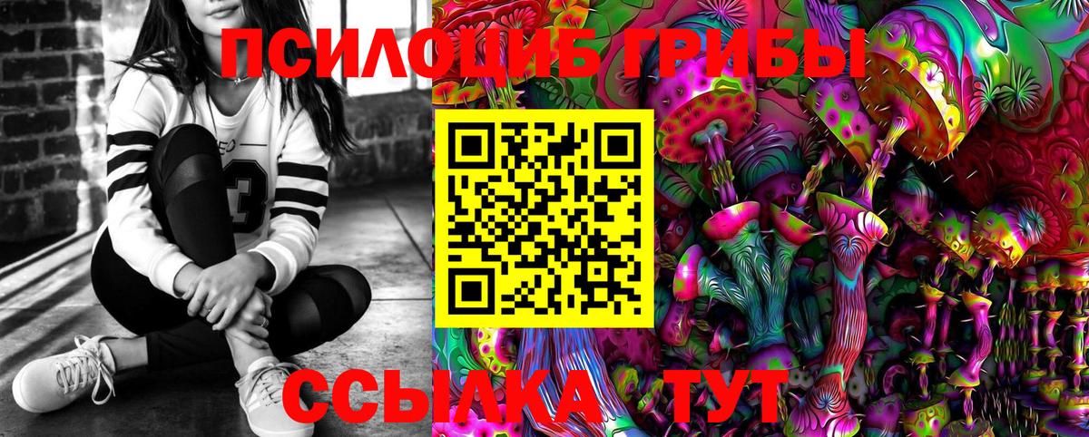 Псилоцибиновые грибы мухоморы Ефремов